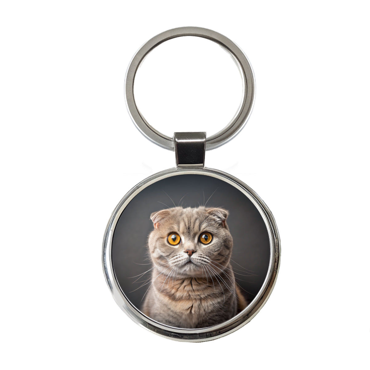 Scottish Fold Cat Photo Round Metal Keychain