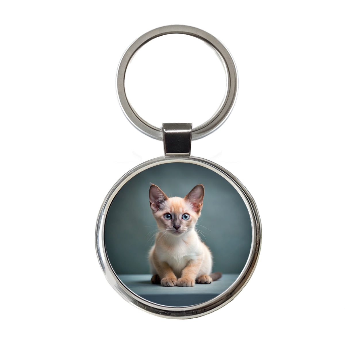 Tonkinese Cat Kitten Photo Round Metal Keychain
