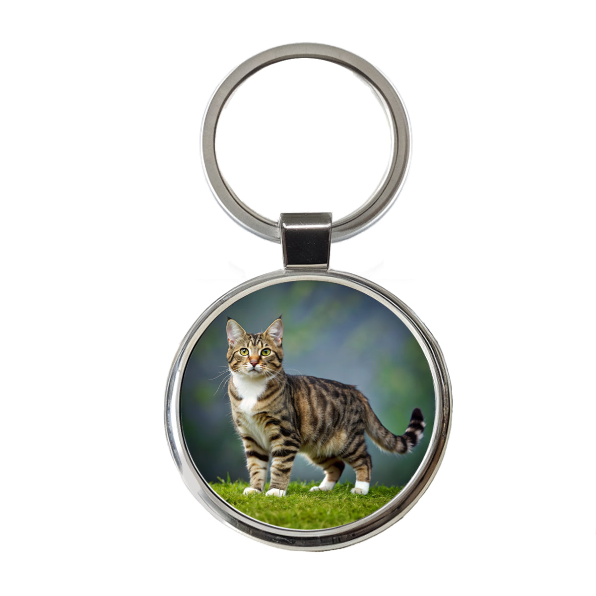Cute Tabby Cat Photo Round Metal Keychain