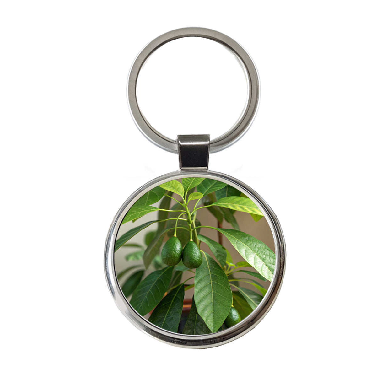 Avocados On Plant Round Metal Keychain