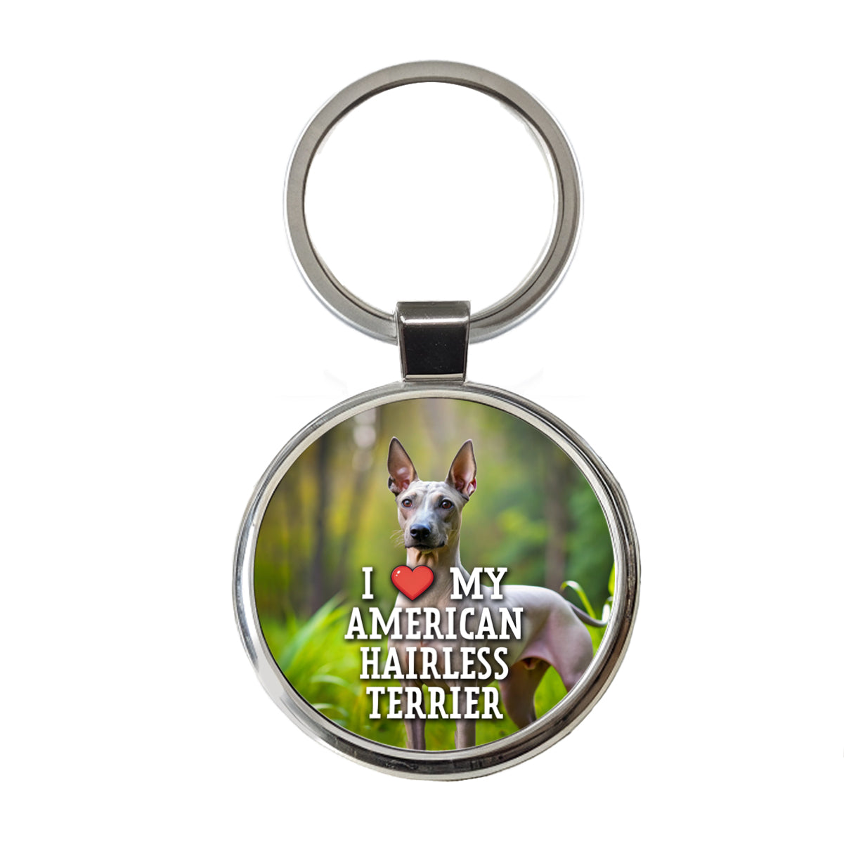 I Love My American Hairless Terrier Dog Heart Round Metal Keychain