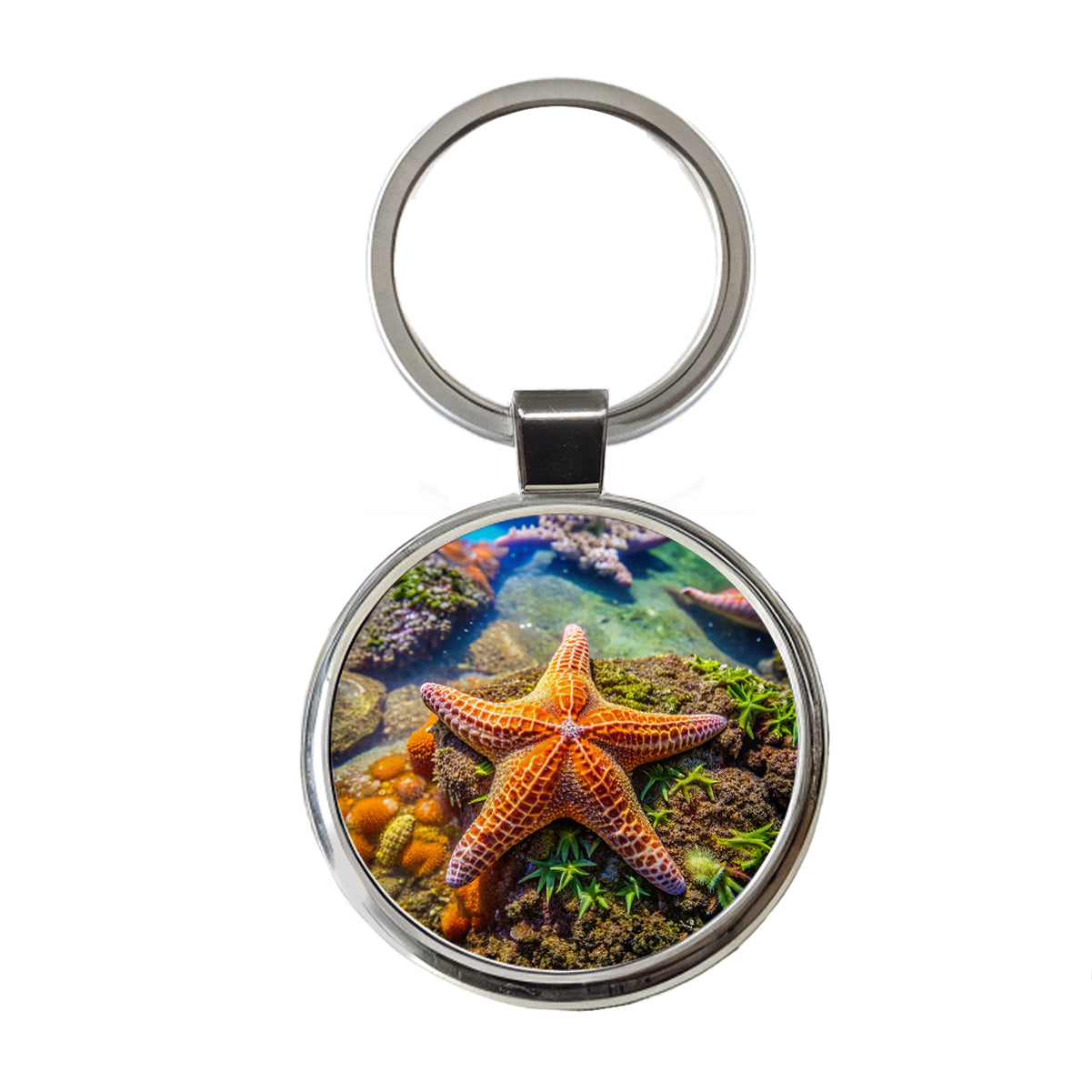Starfish In Tide Pool Round Metal Keychain