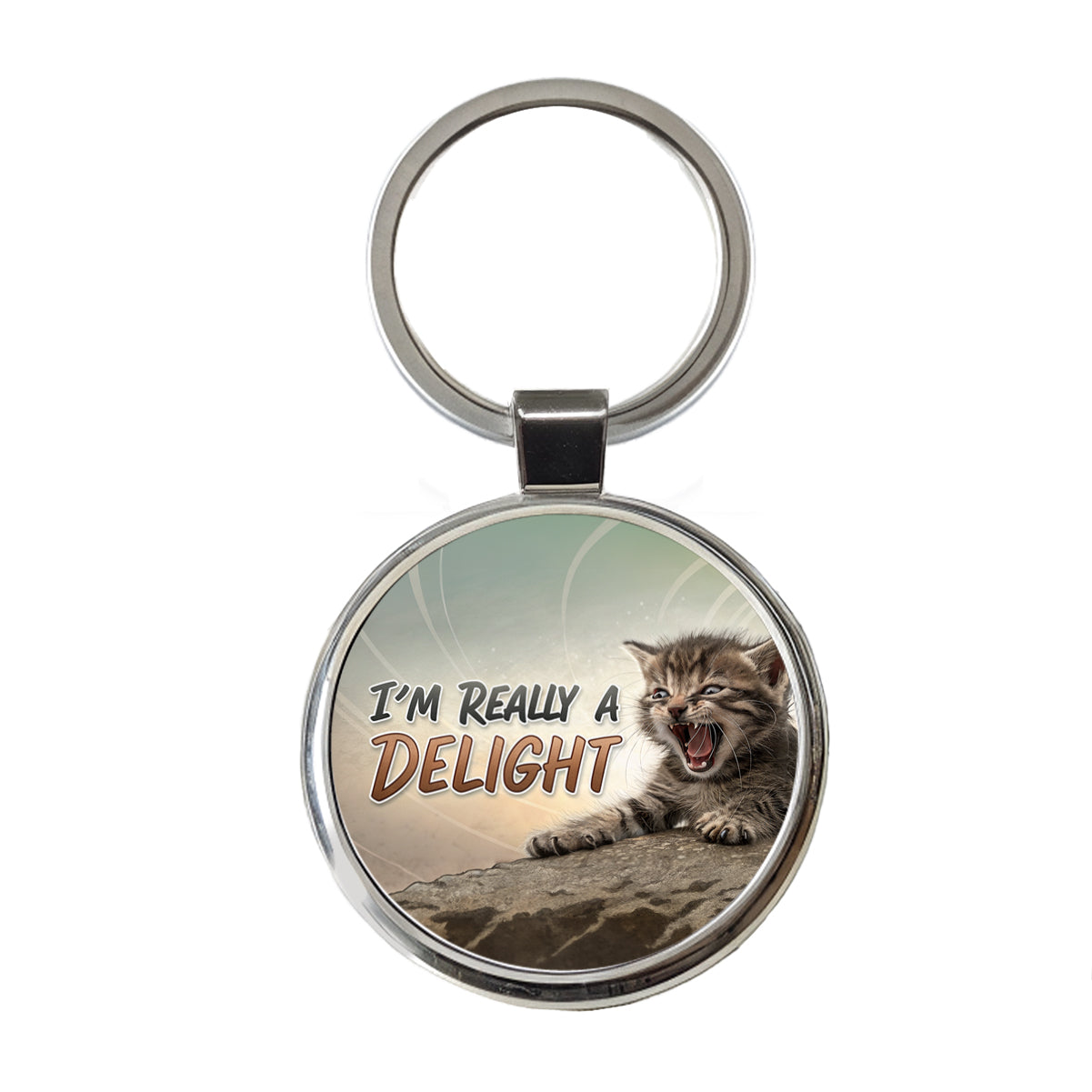 I'm Really a Delight Funny Angry Kitten Round Metal Keychain