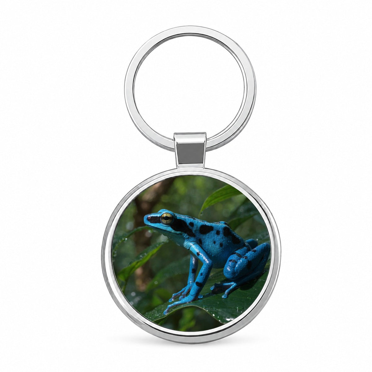 Blue Poison Dart Frog Round Metal Keychain