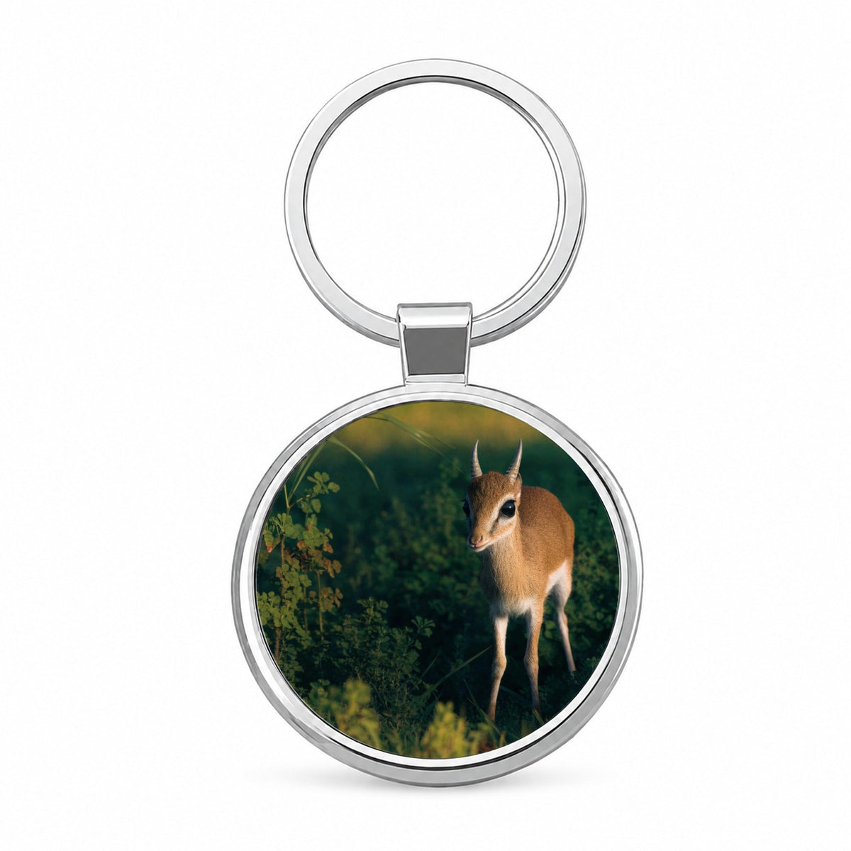 Dik-dik Antelope Round Metal Keychain