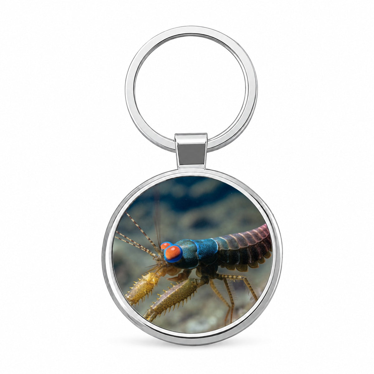 Mantis Shrimp Round Metal Keychain