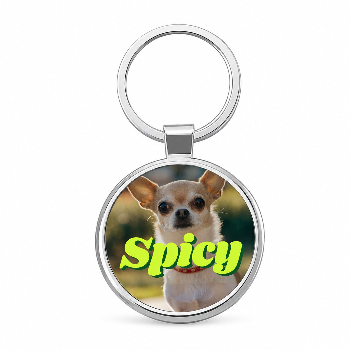 Spicy Chihuahua Dog Funny Round Metal Keychain