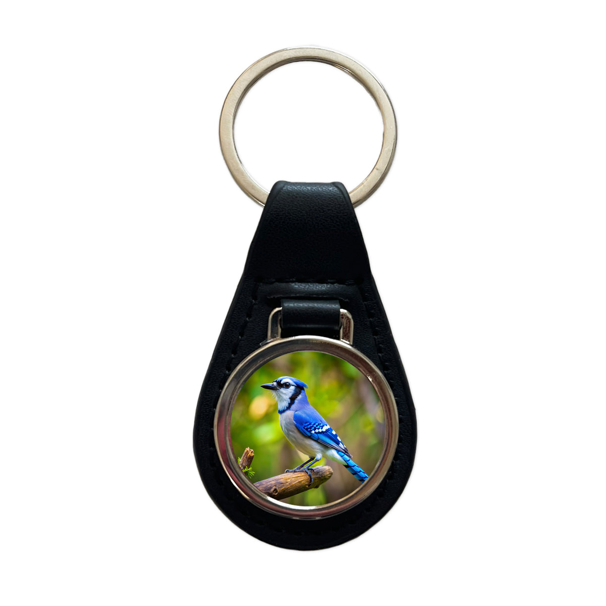 Blue Jay Backyard Bird Black Leather Metal Keychain