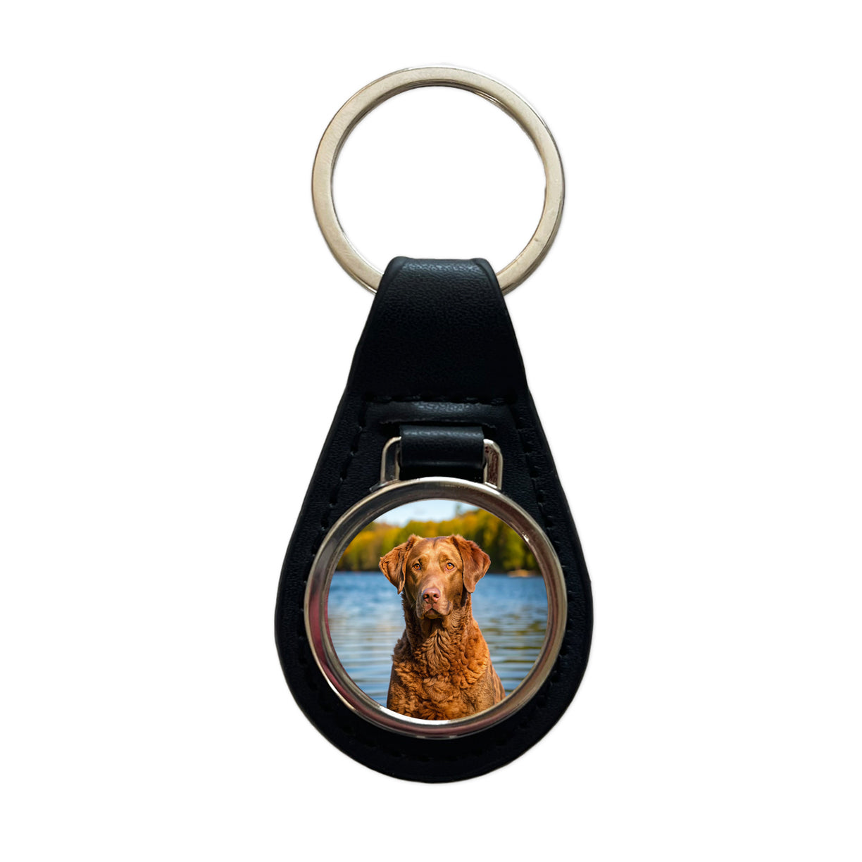 Chesapeake Bay Retriever Dog Photo Black Leather Metal Keychain