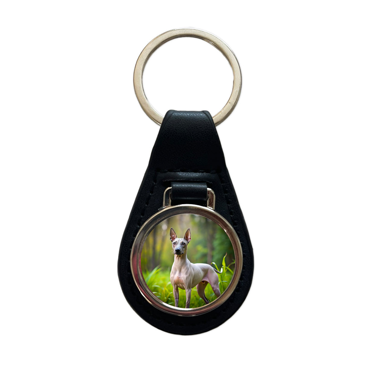 American Hairless Terrier Dog Photo Black Leather Metal Keychain