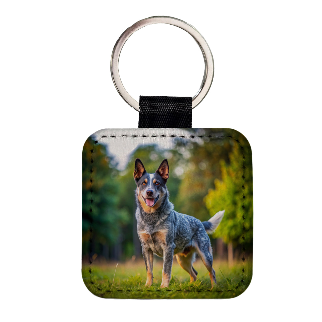 Australian Cattle Dog Photo Square Faux Leather Keychain