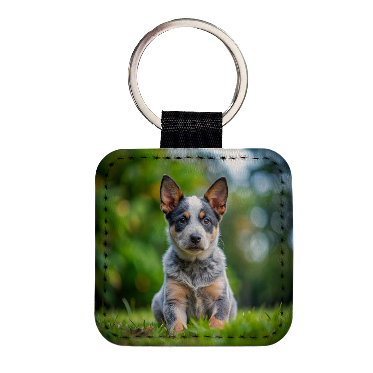 Australian Cattle Dog Puppy Photo Square Faux Leather Keychain