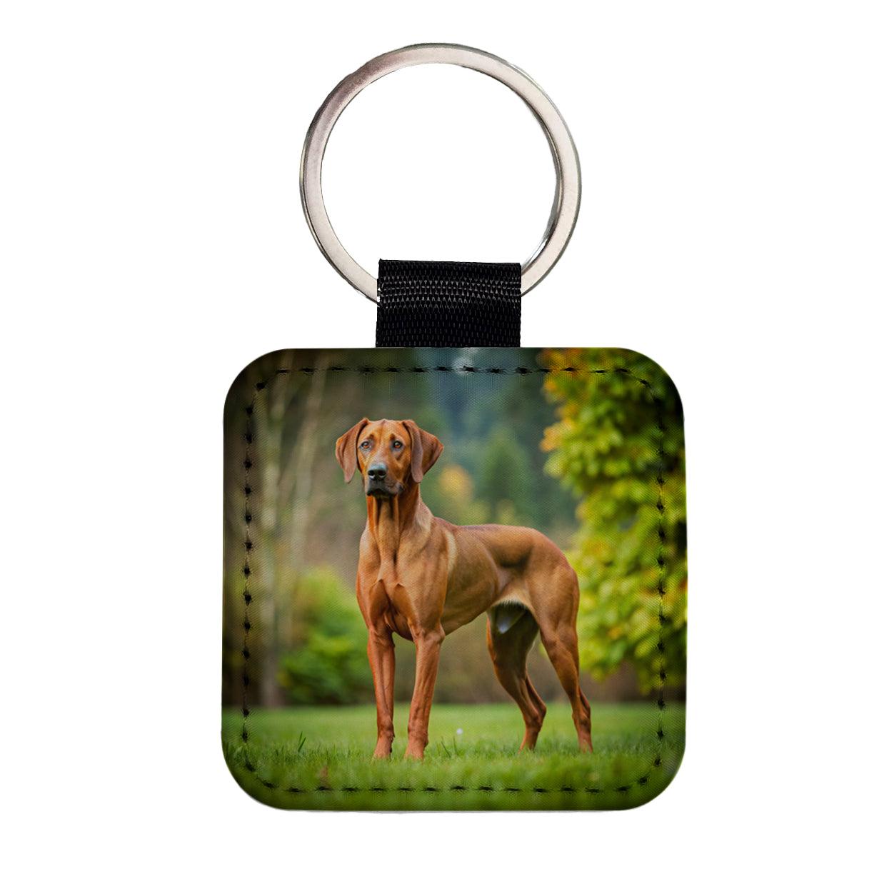 Rhodesian Ridgeback Dog Photo Square Faux Leather Keychain