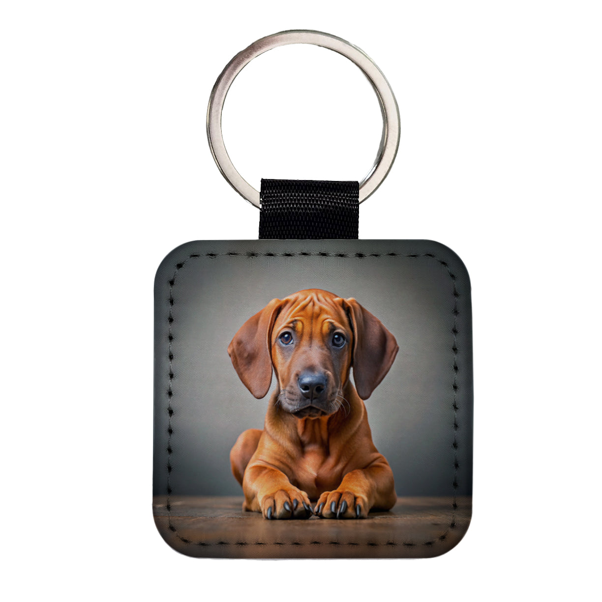Rhodesian Ridgeback Dog Puppy Photo Square Faux Leather Keychain