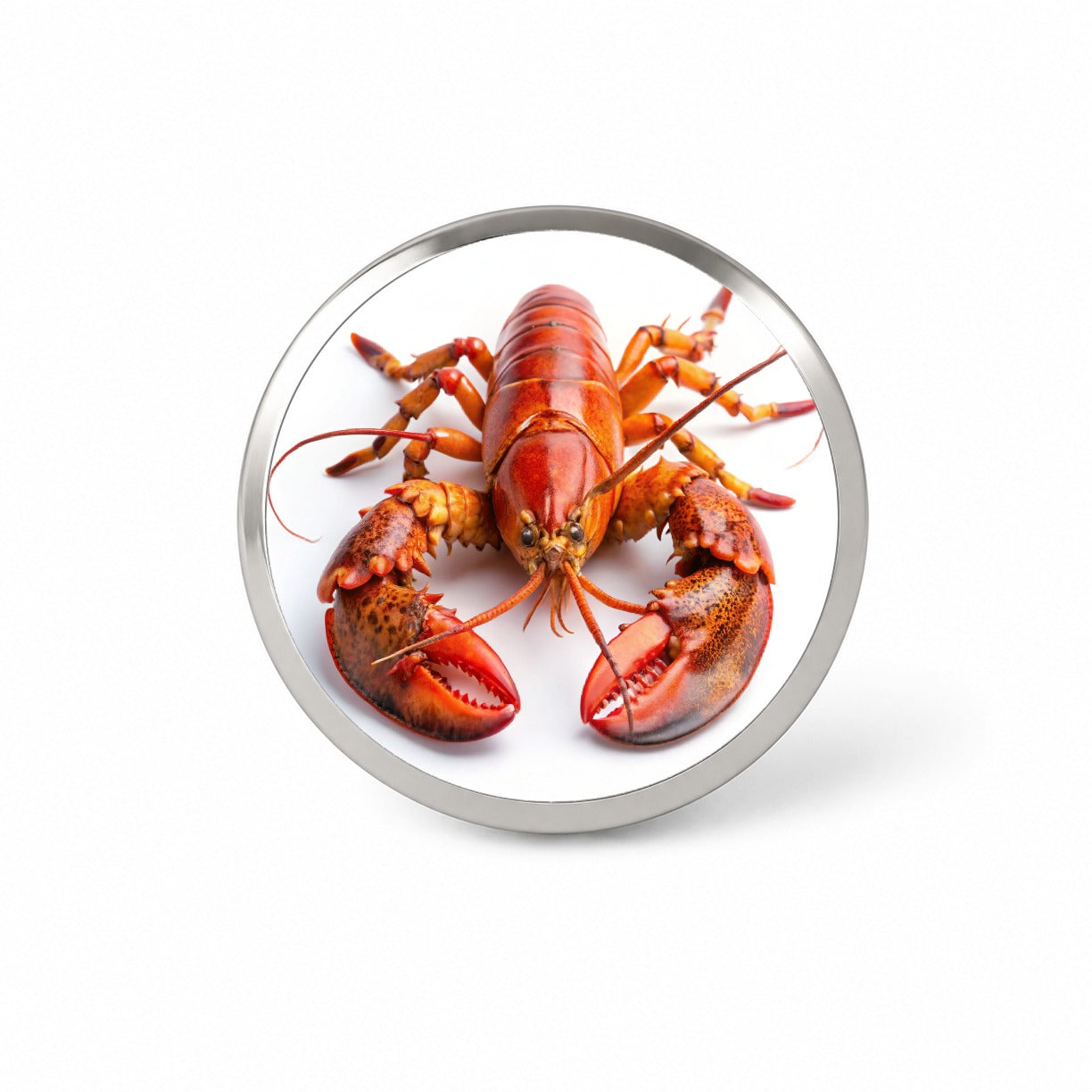 New England Lobster On White Background Novelty Hat Backpack Lapel Pin
