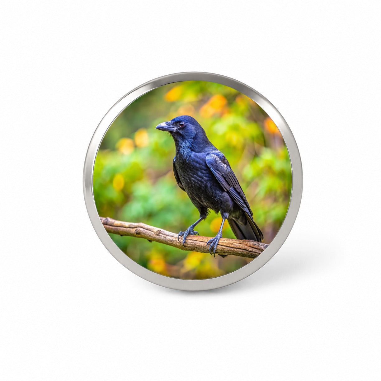 American Black Crow Backyard Bird Novelty Hat Backpack Lapel Pin
