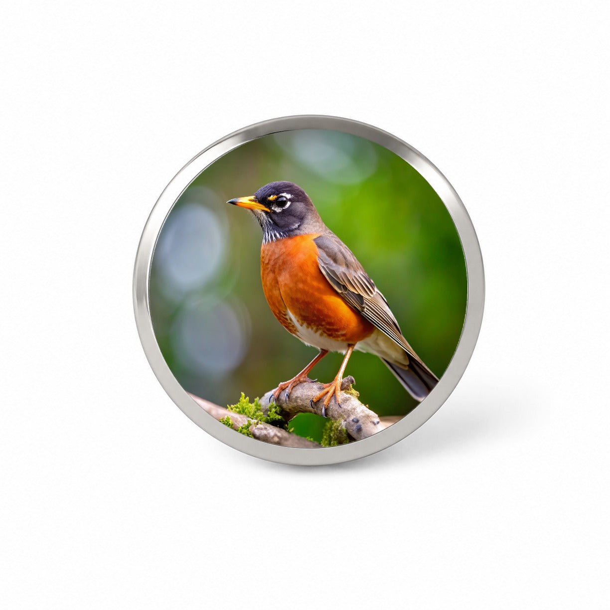 American Robin Backyard Bird Novelty Hat Backpack Lapel Pin