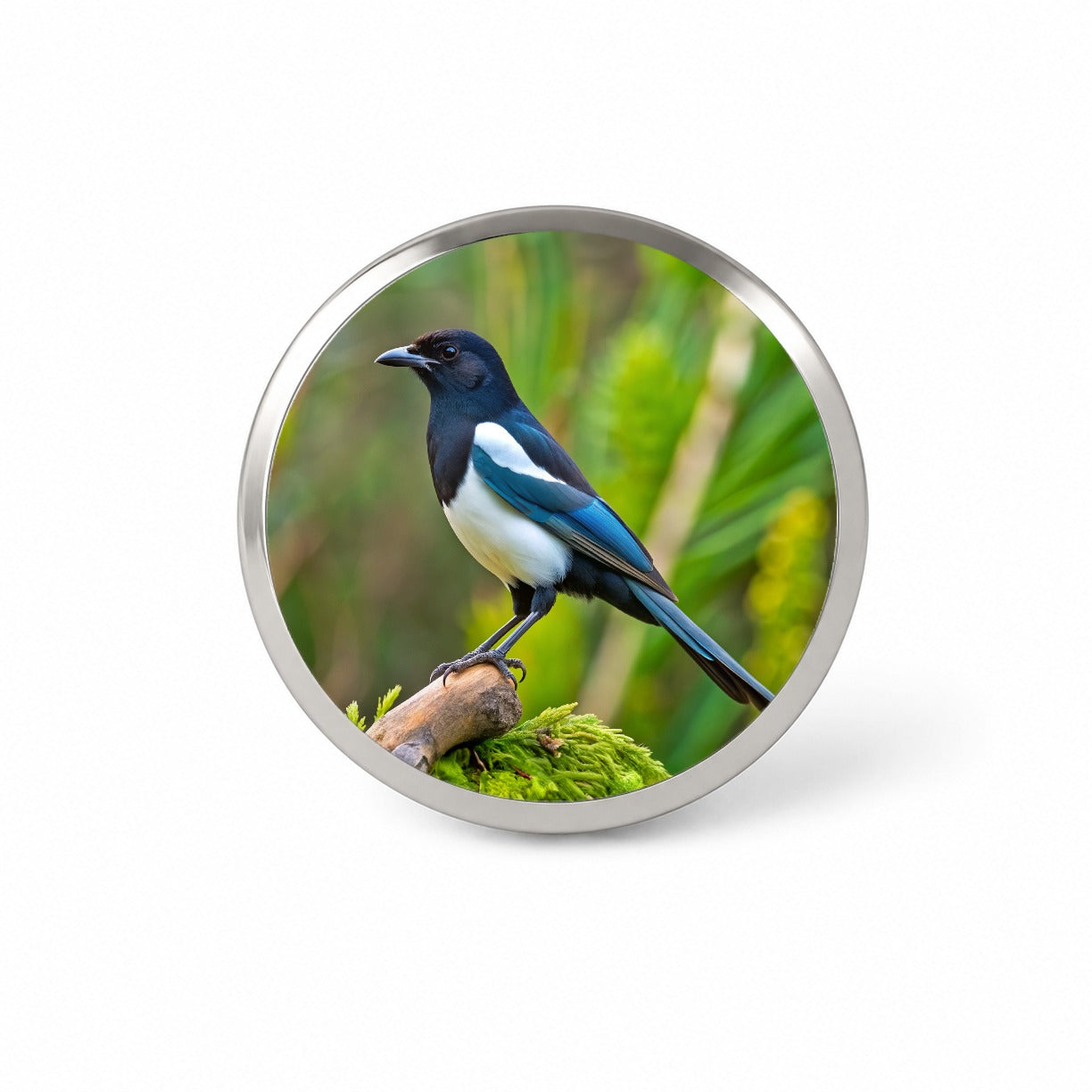 Black Billed Magpie Backyard Bird Novelty Hat Backpack Lapel Pin