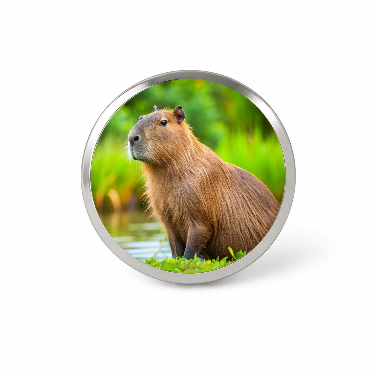 Capybara Novelty Hat Backpack Lapel Pin