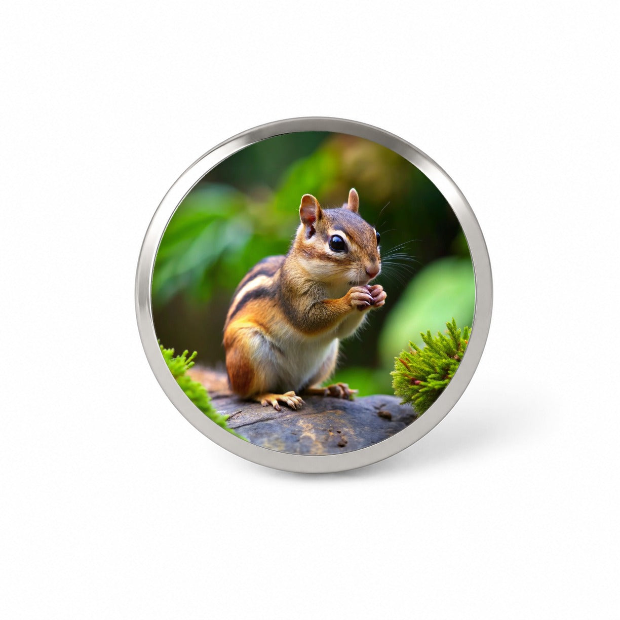 Chipmunk Novelty Hat Backpack Lapel Pin