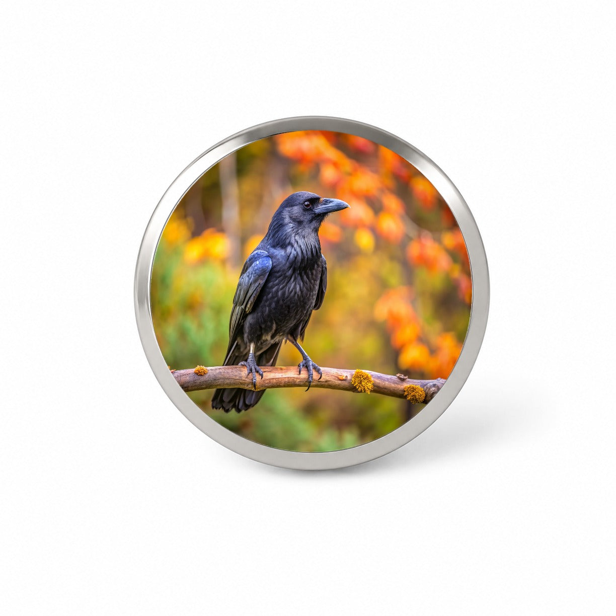 Common Raven Backyard Bird Novelty Hat Backpack Lapel Pin