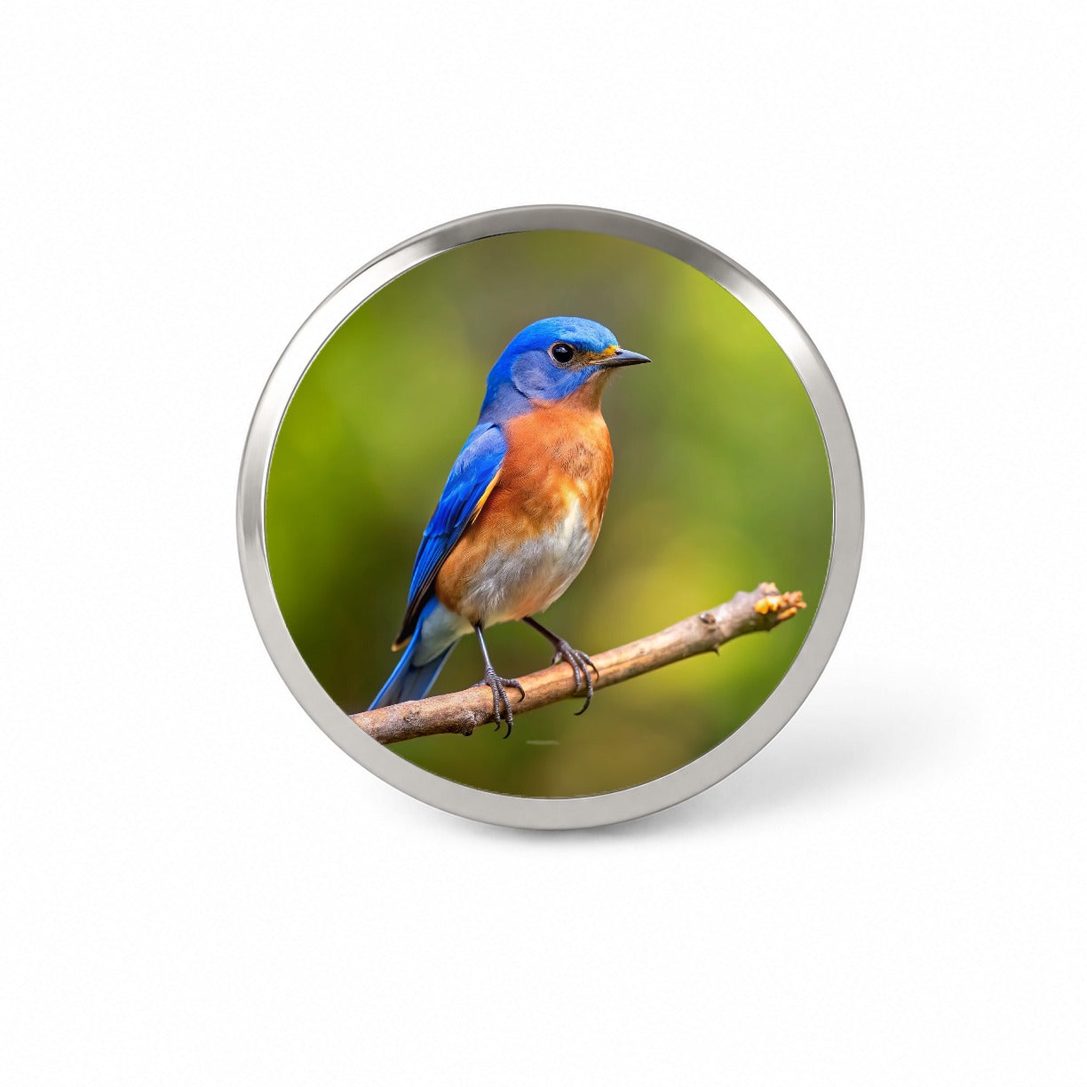 Eastern Bluebird Backyard Bird Novelty Hat Backpack Lapel Pin