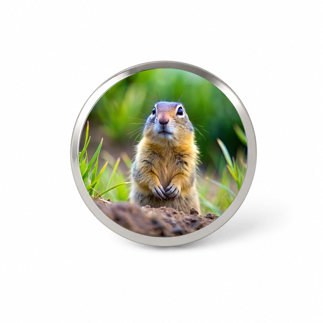 Gopher Novelty Hat Backpack Lapel Pin