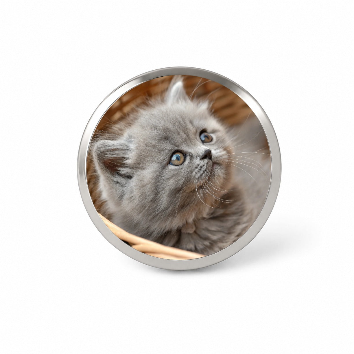 Gray British Longhair Kitten in a Basket Novelty Hat Backpack Lapel Pin