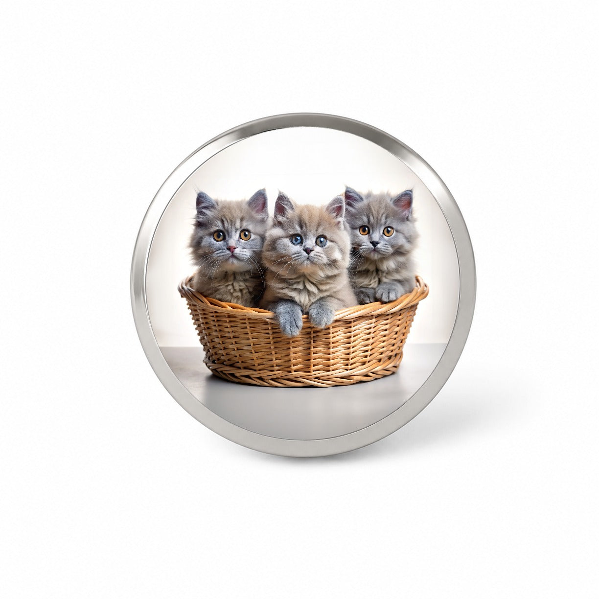 Gray British Longhair Kittens In A Basket Novelty Hat Backpack Lapel Pin