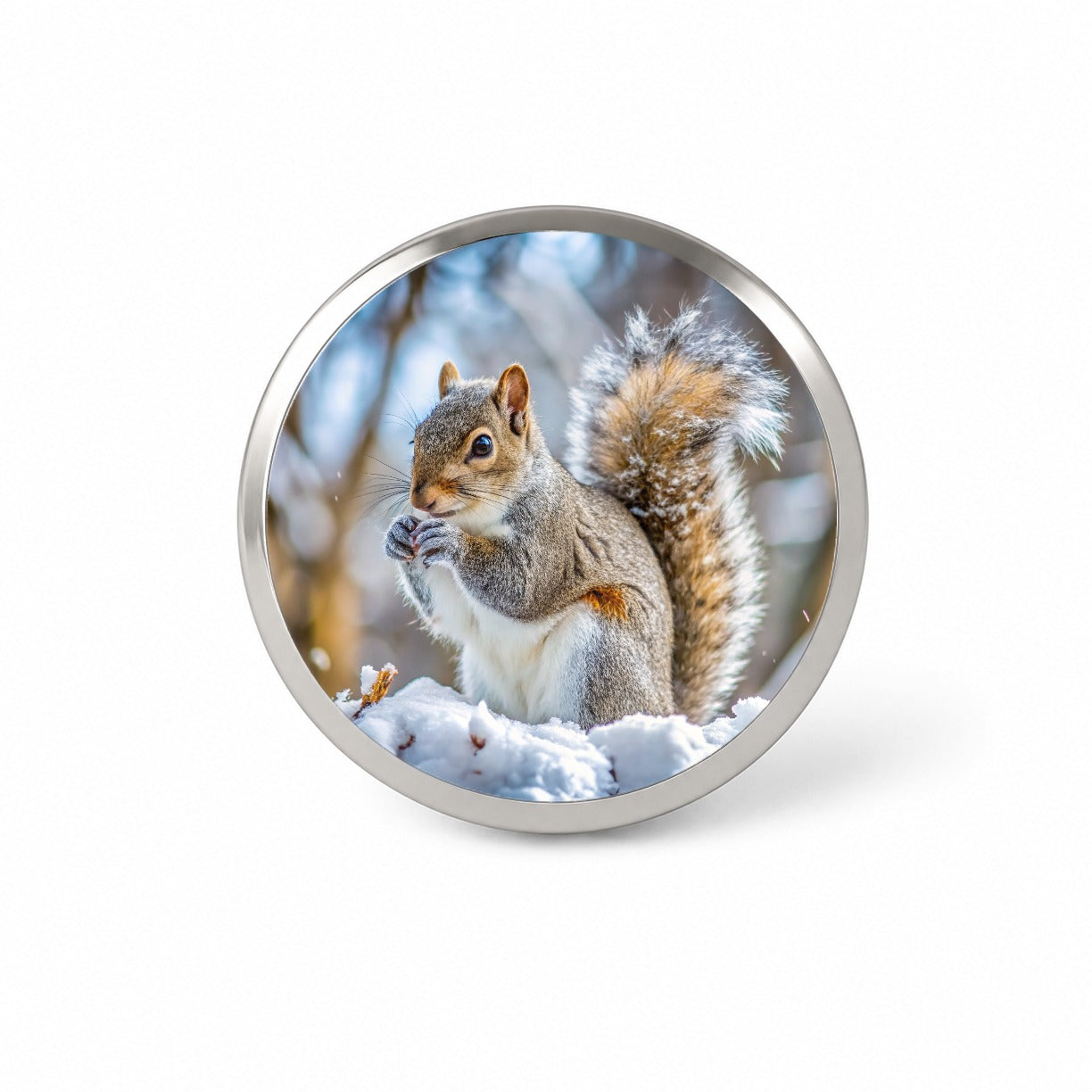 Gray Squirrel In Winter Novelty Hat Backpack Lapel Pin
