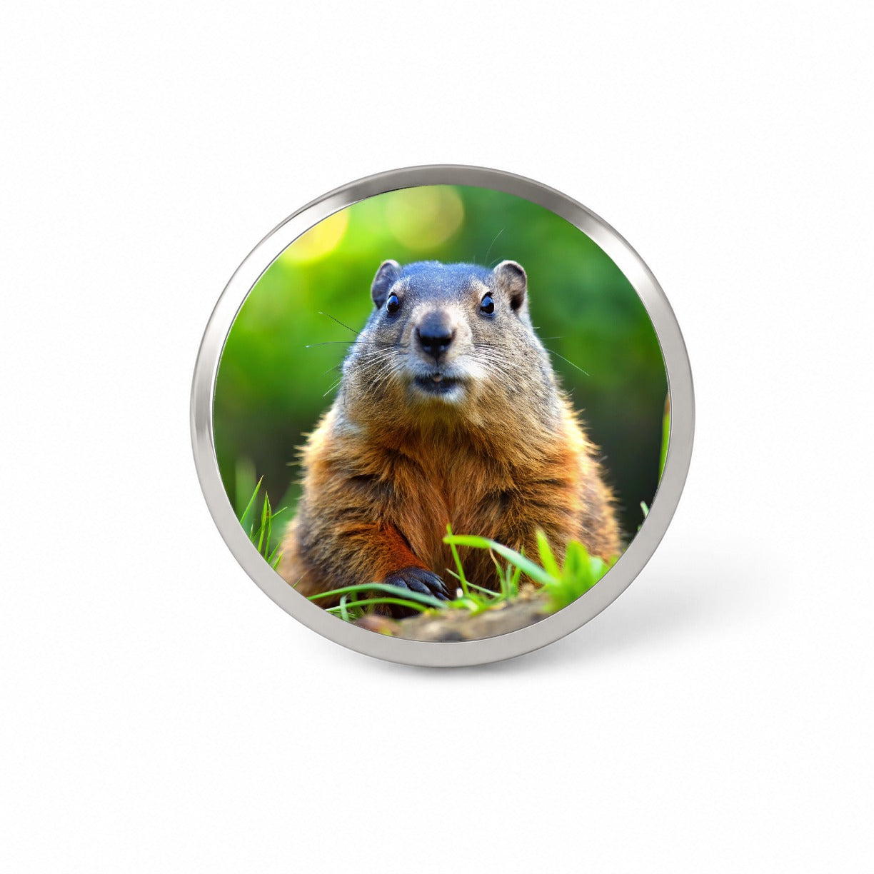 Groundhog Novelty Hat Backpack Lapel Pin