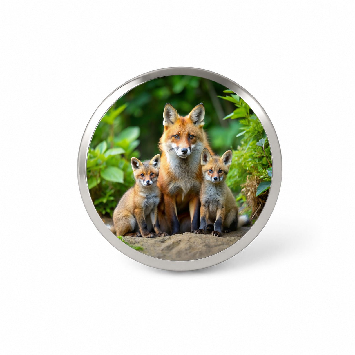 Mother Fox And Pups Novelty Hat Backpack Lapel Pin