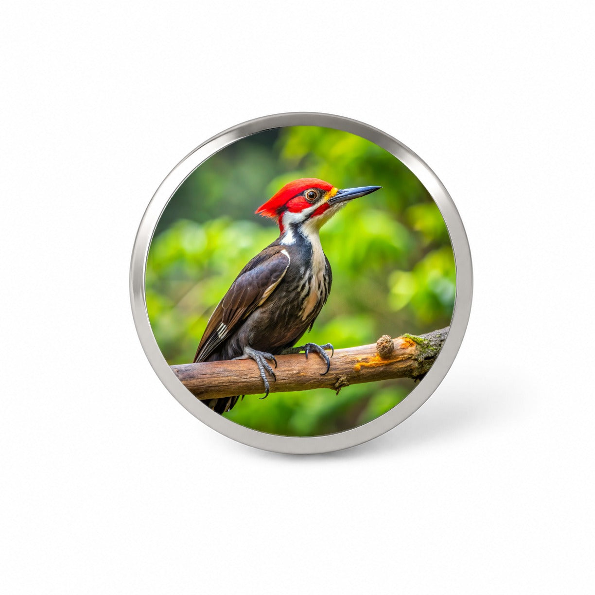 Pileated Woodpecker Backyard Bird Novelty Hat Backpack Lapel Pin