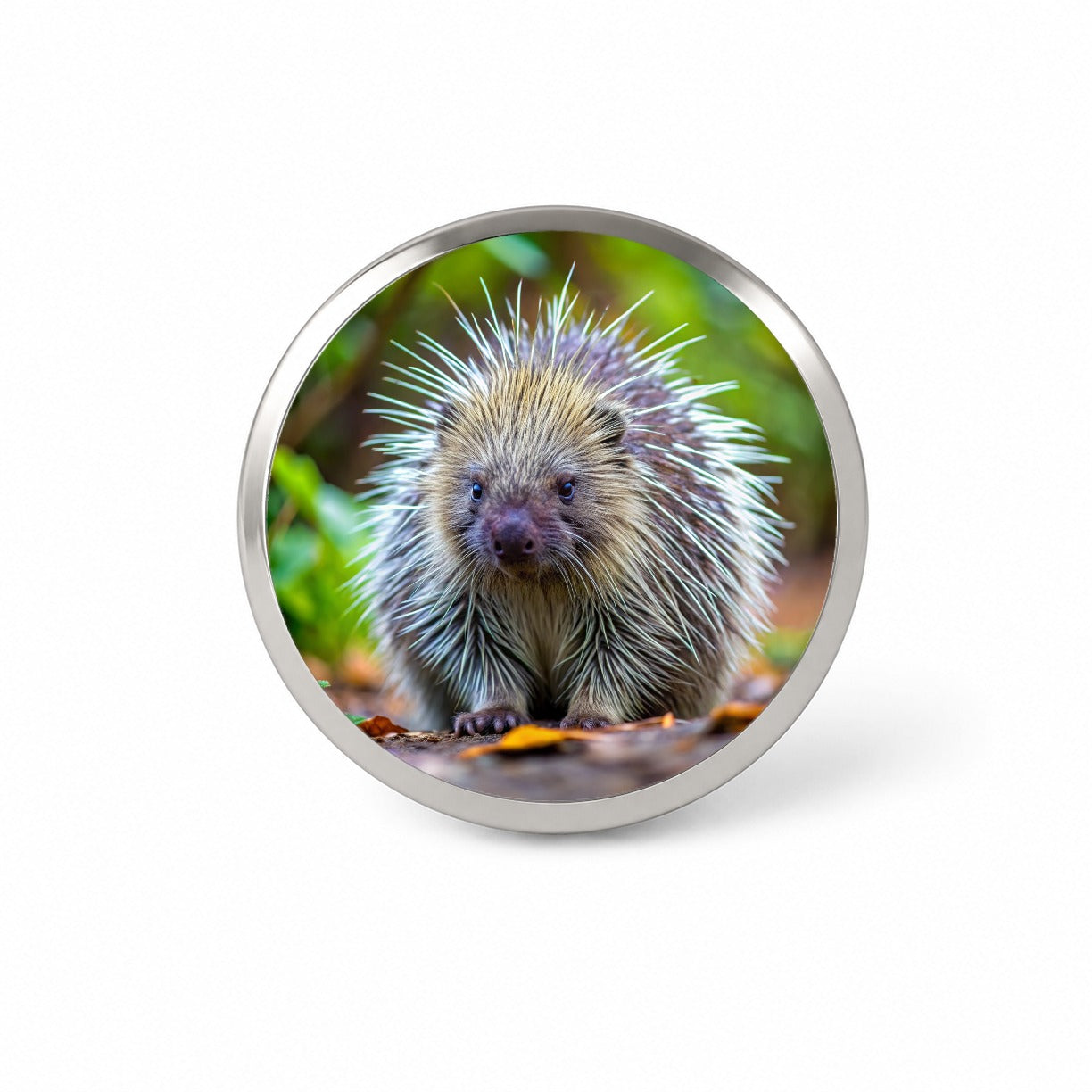 Porcupine Novelty Hat Backpack Lapel Pin