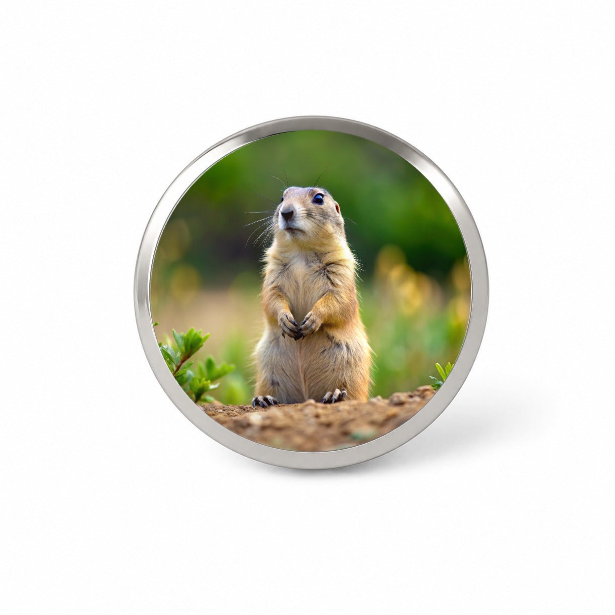 Prairie Dog Novelty Hat Backpack Lapel Pin