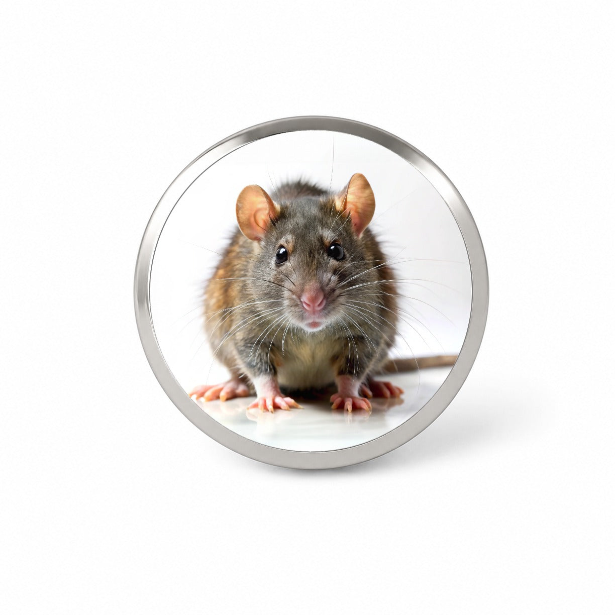 Rat Novelty Hat Backpack Lapel Pin