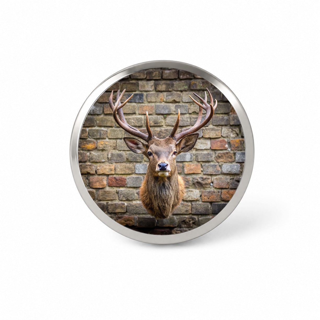 Stag's Head Mounted To Wall Novelty Hat Backpack Lapel Pin