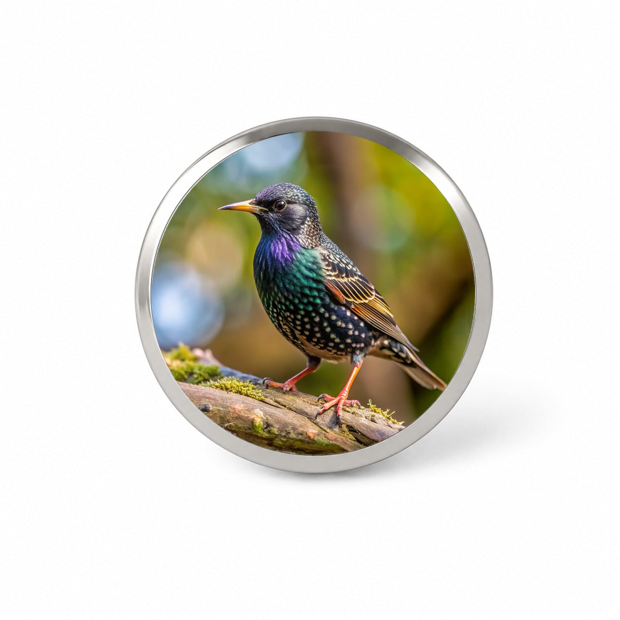 Starling Backyard Bird Novelty Hat Backpack Lapel Pin
