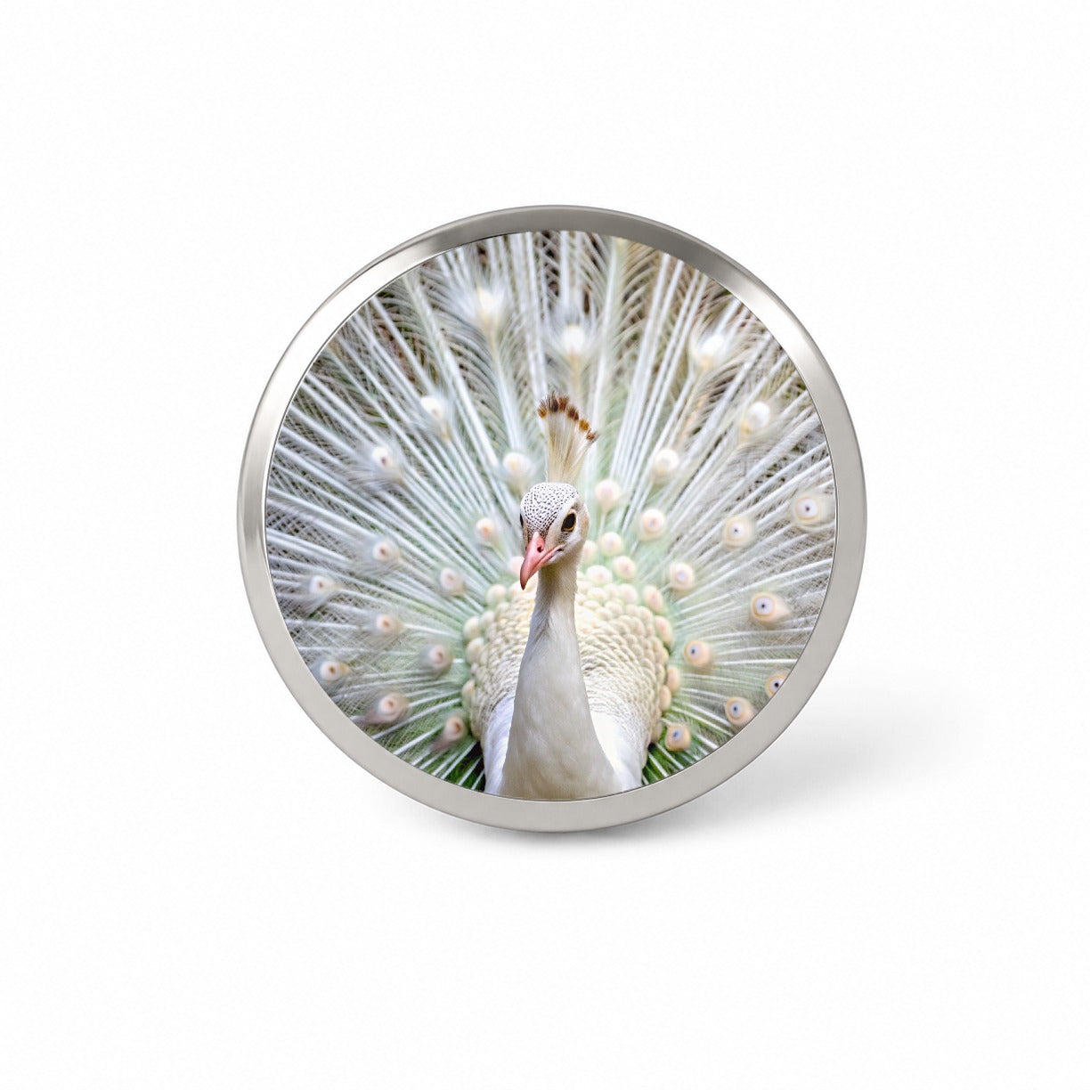 White Peacock Novelty Hat Backpack Lapel Pin