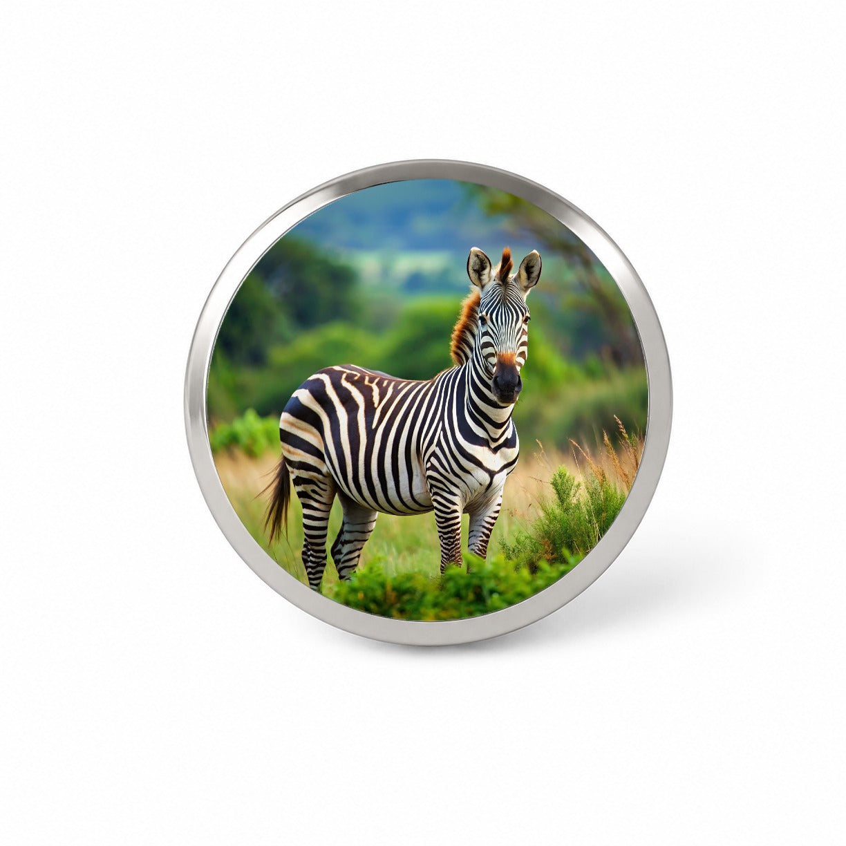 Zebra Novelty Hat Backpack Lapel Pin