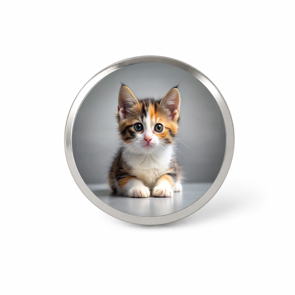 Calico Cat Kitten Photo Novelty Hat Backpack Lapel Pin