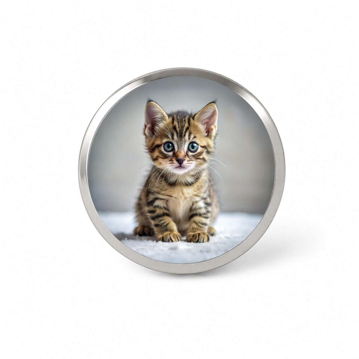 Tabby Cat Kitten Photo Novelty Hat Backpack Lapel Pin