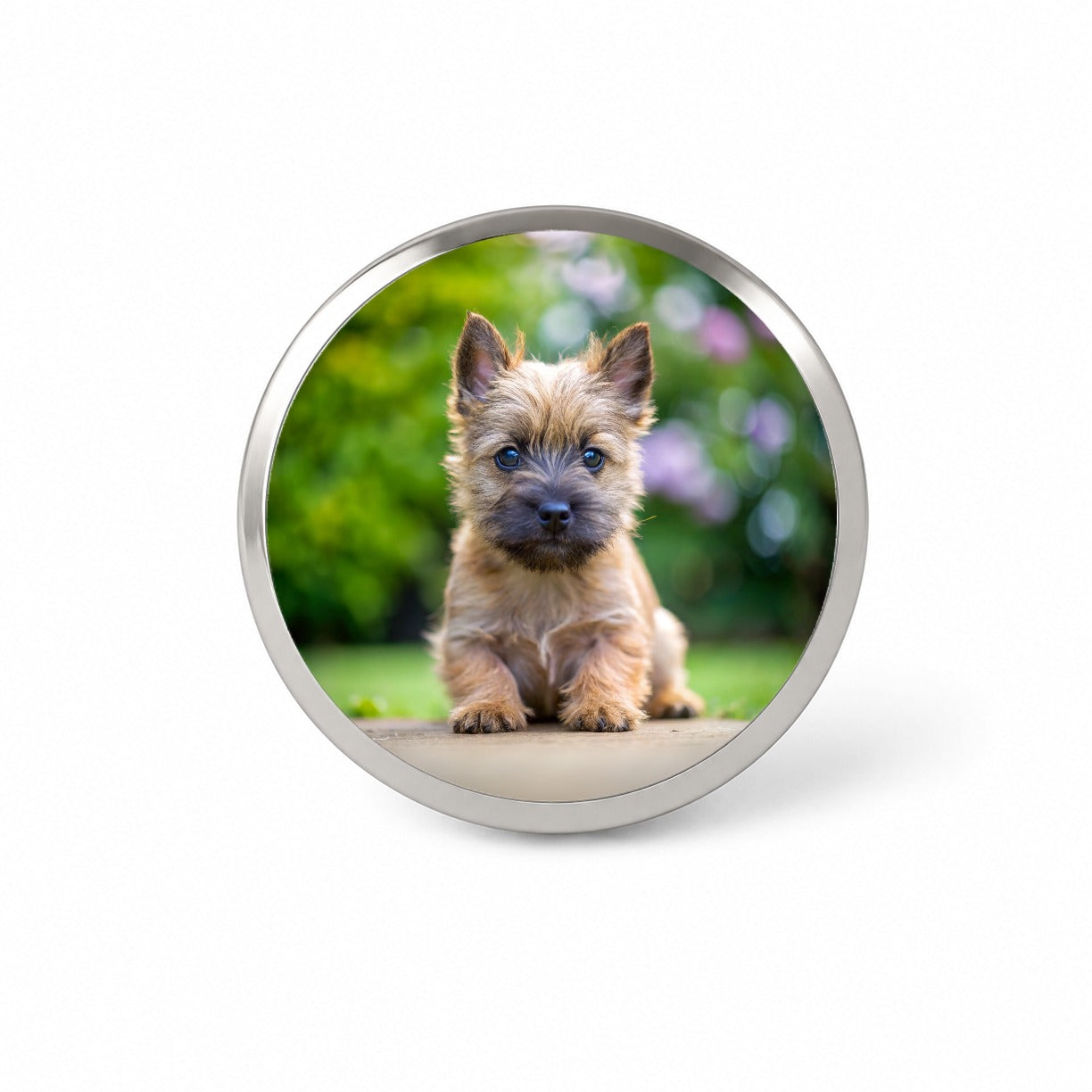 Cairn Terrier Dog Puppy Photo Novelty Hat Backpack Lapel Pin