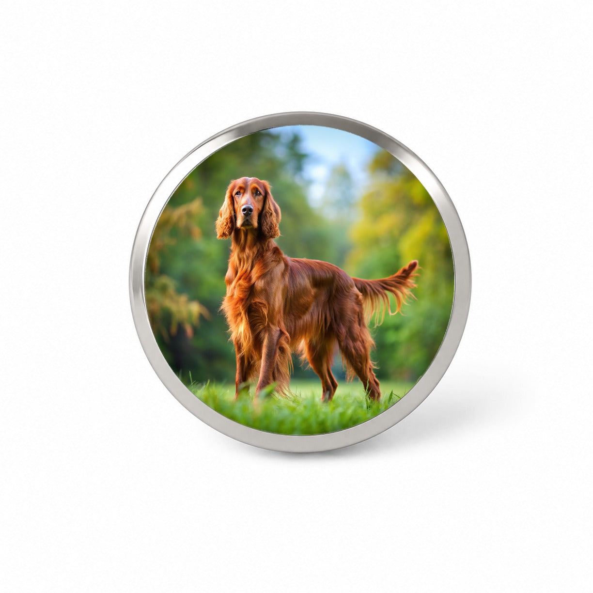 Irish Setter Dog Photo Novelty Hat Backpack Lapel Pin