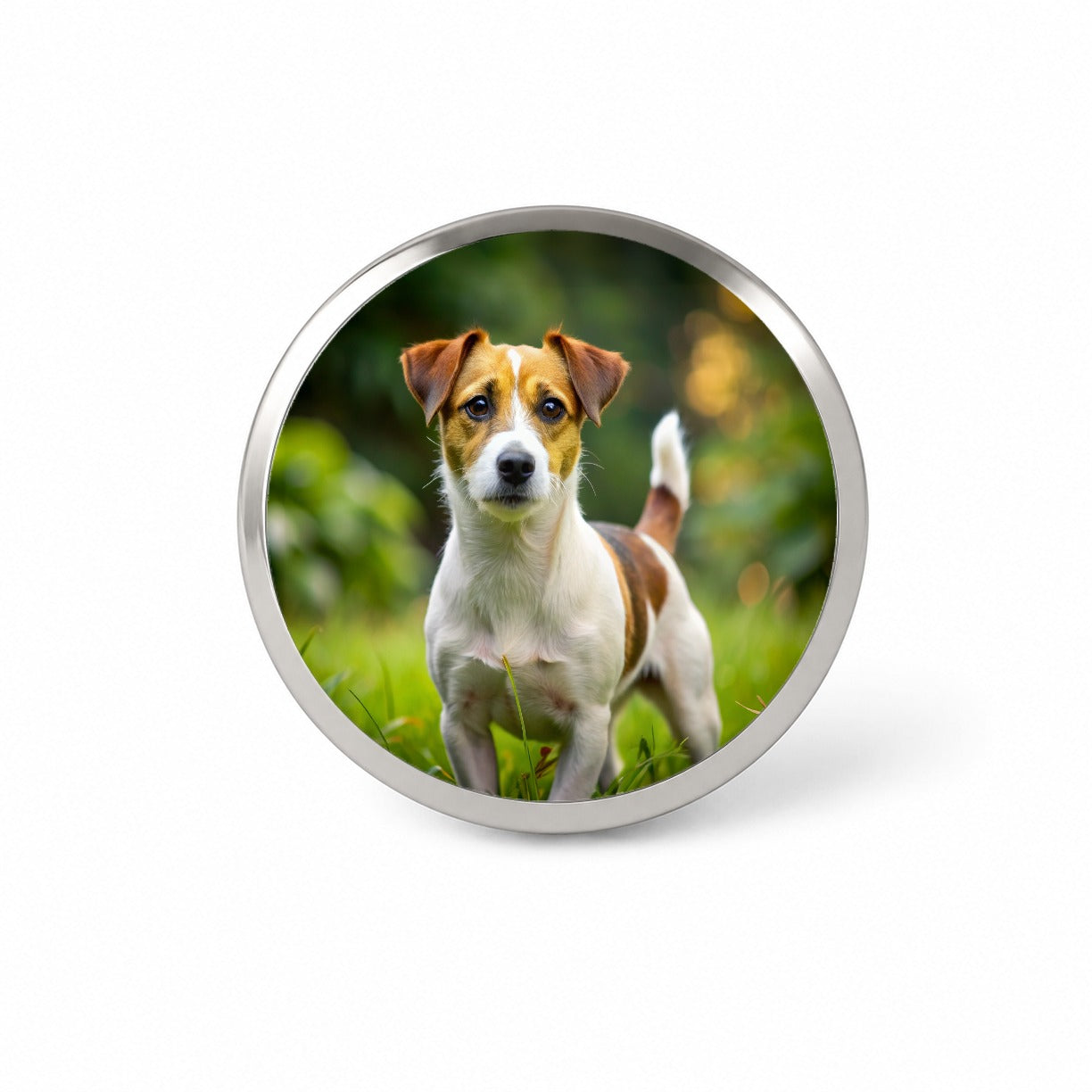 Jack Russell Terrier Dog Photo Novelty Hat Backpack Lapel Pin