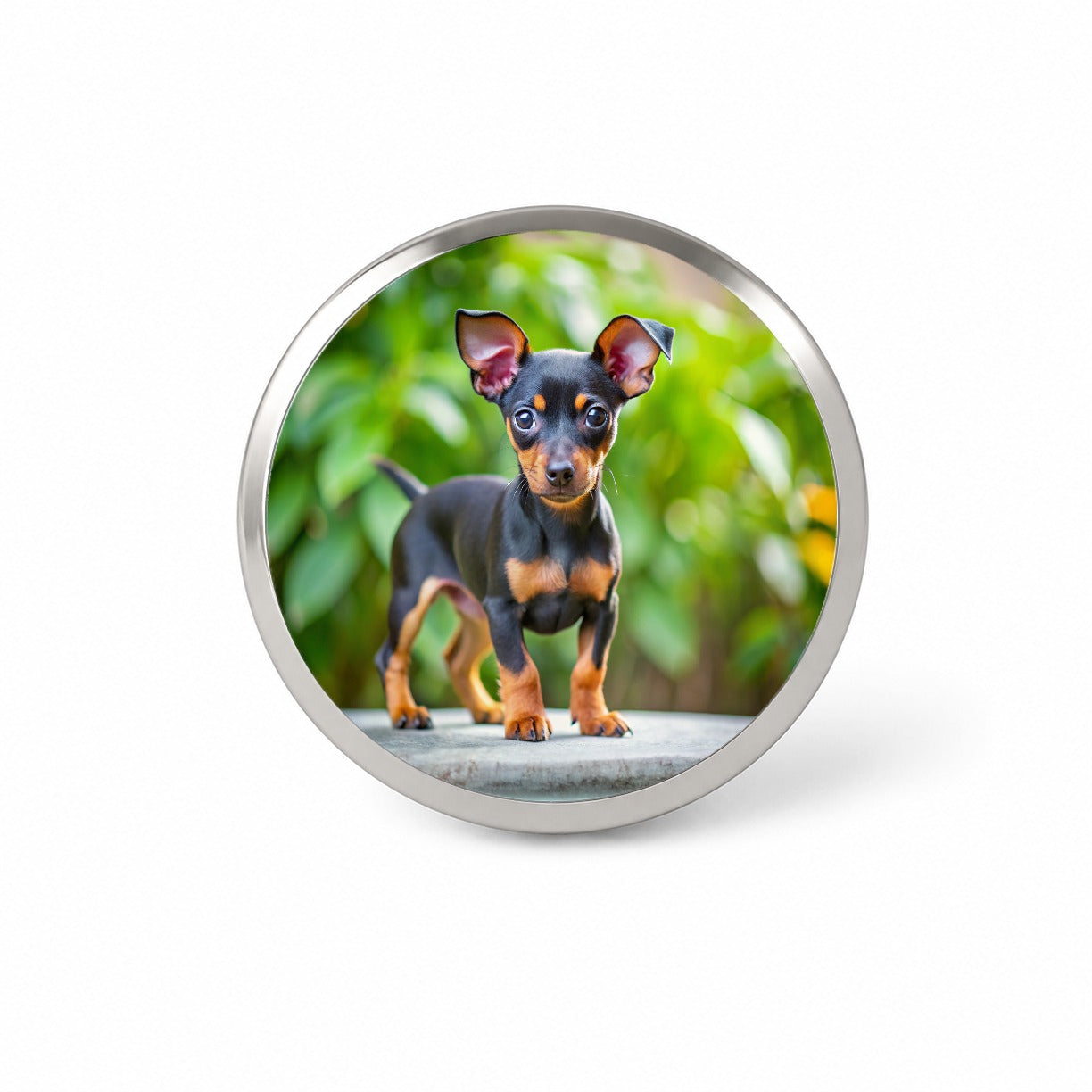 Miniature Pinscher Dog Puppy Photo Novelty Hat Backpack Lapel Pin
