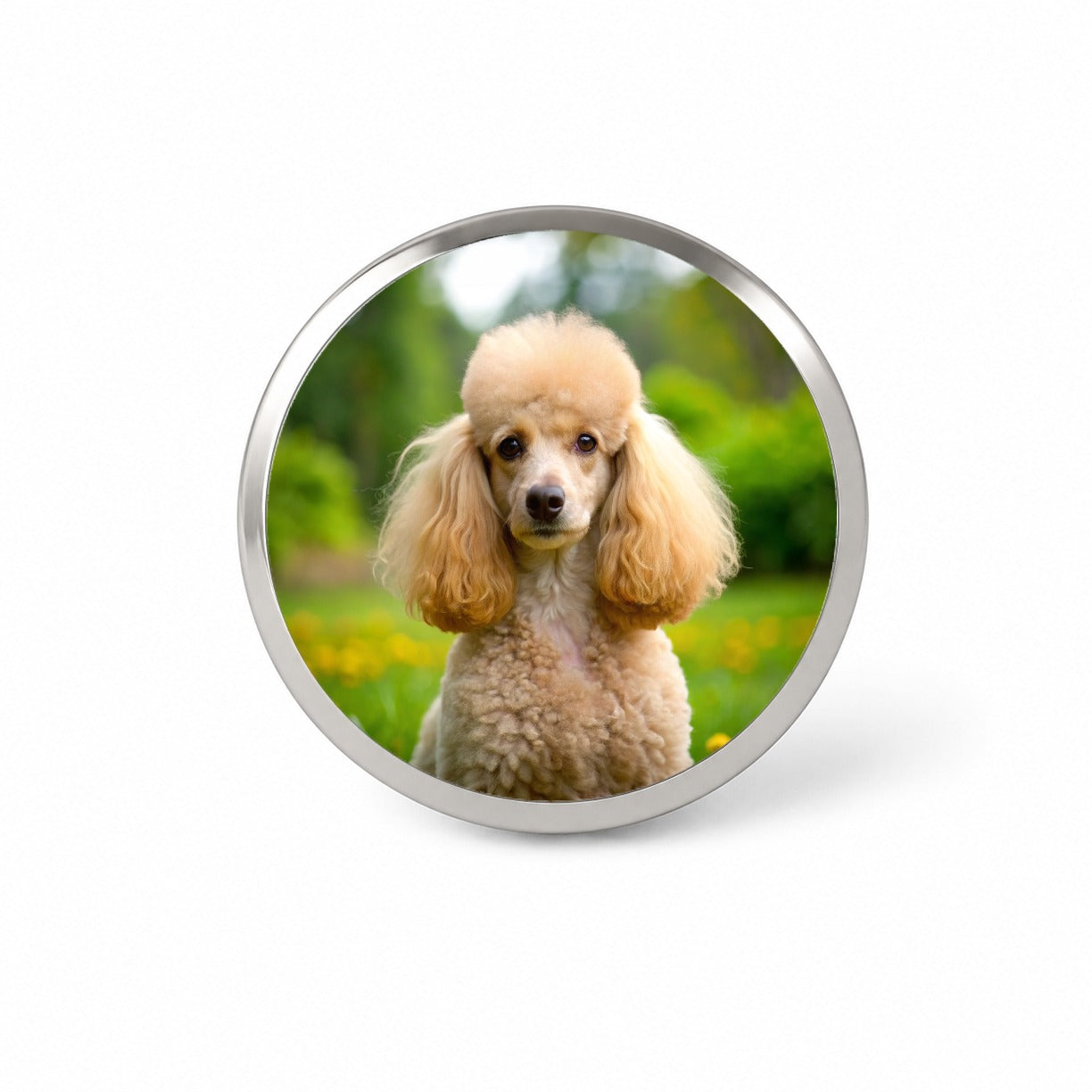 Poodle Dog Photo Novelty Hat Backpack Lapel Pin
