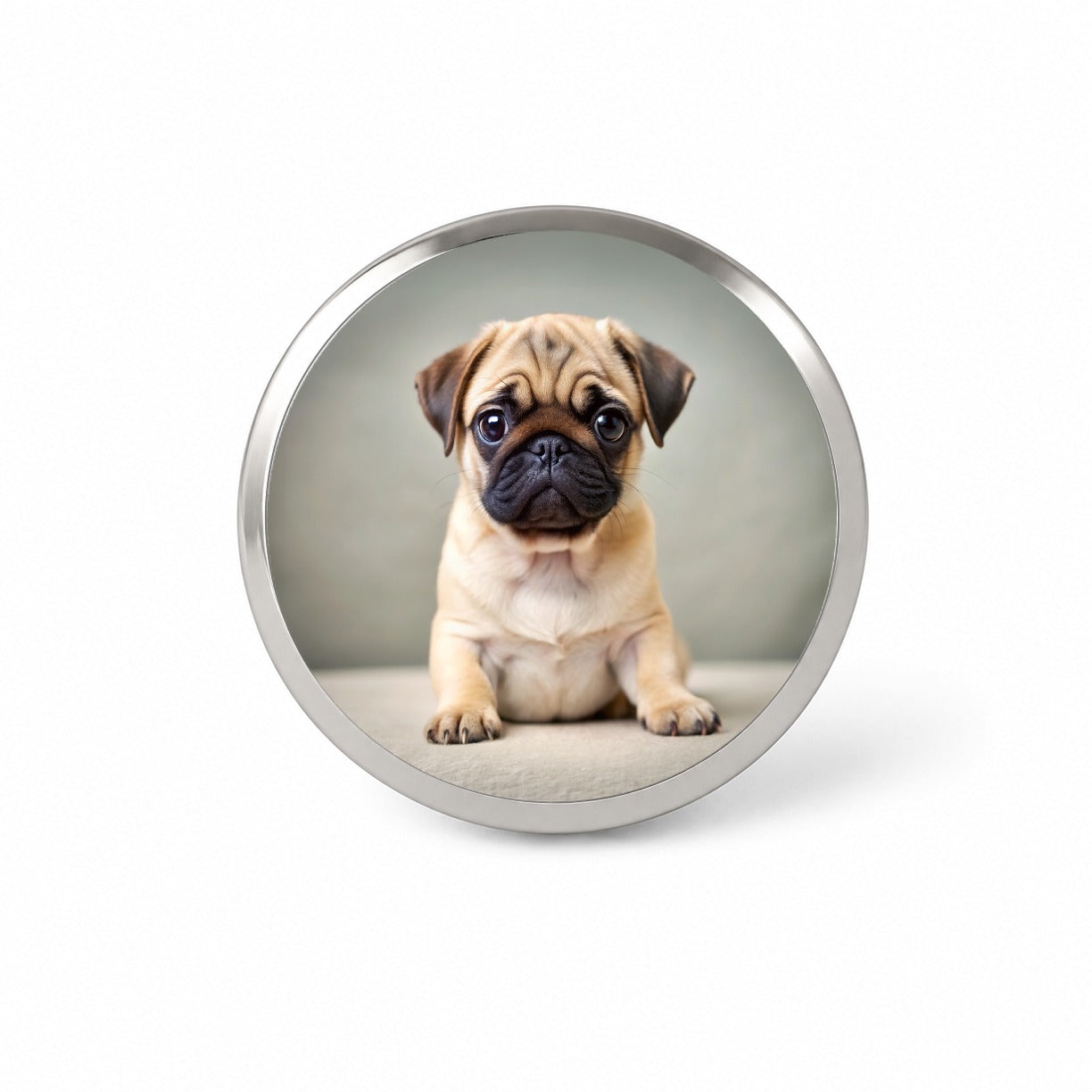 Pug Dog Puppy Photo Novelty Hat Backpack Lapel Pin