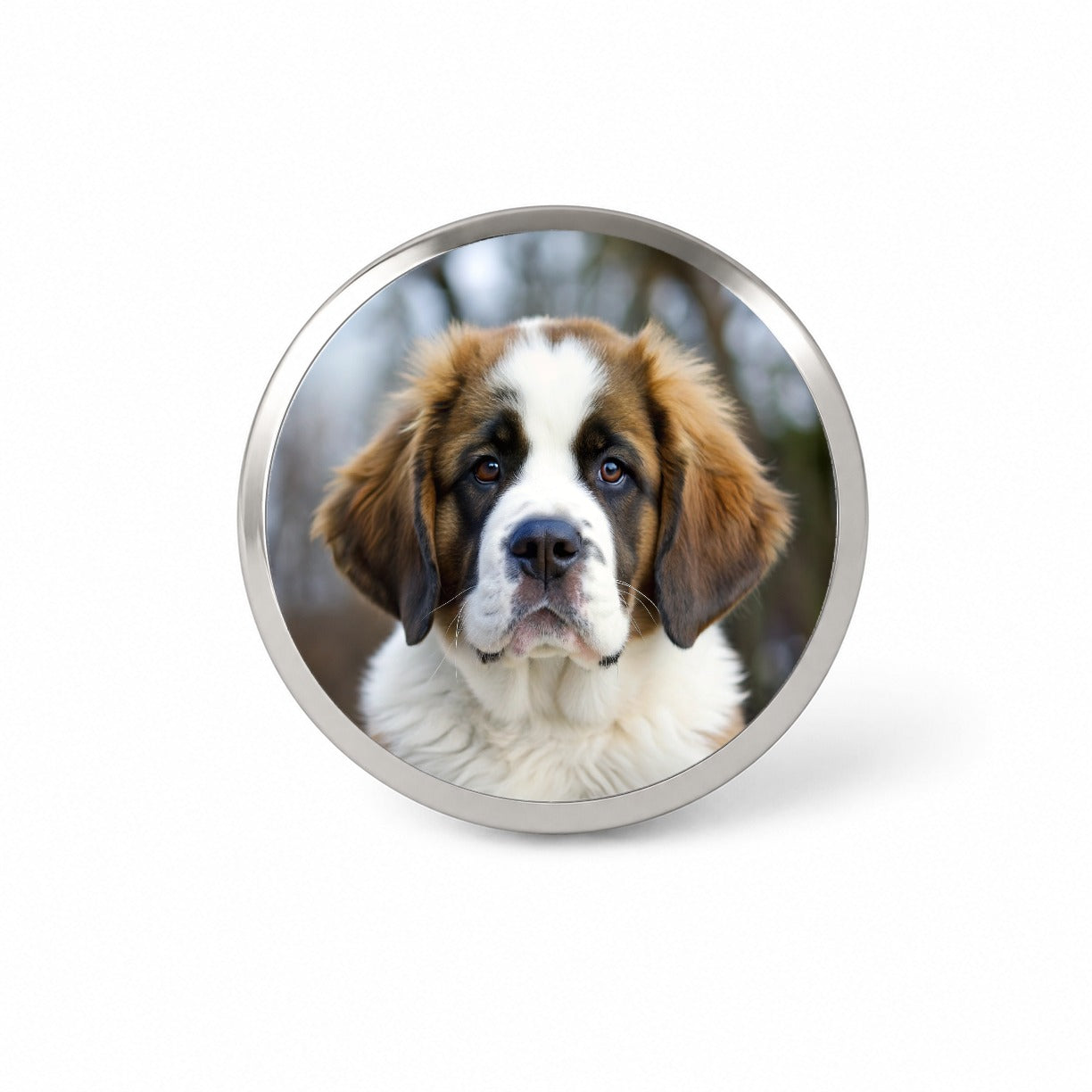 Saint Bernard Dog Puppy Photo Novelty Hat Backpack Lapel Pin