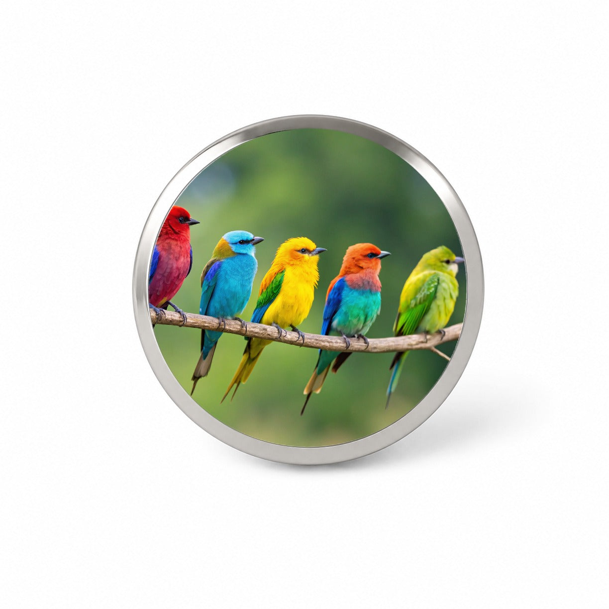 Colorful Birds In A Row Novelty Hat Backpack Lapel Pin